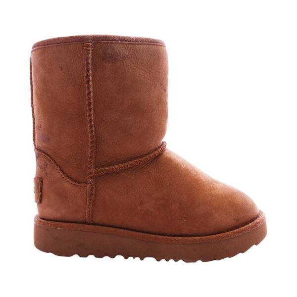 UGG - Ankle Boots / High Boots