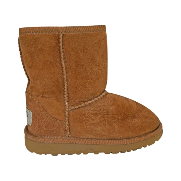 UGG - Ankle Boots / High Boots